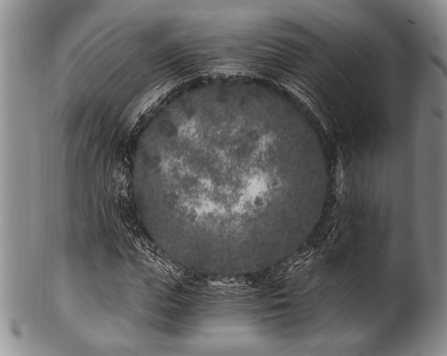 X0000101110823200806261410