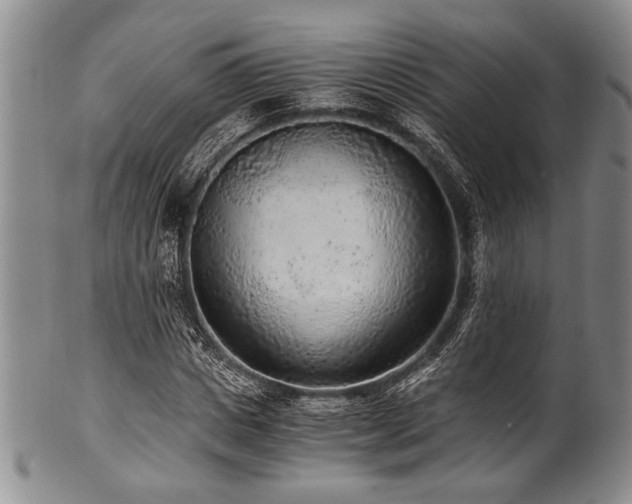 X0000101110825200806261410