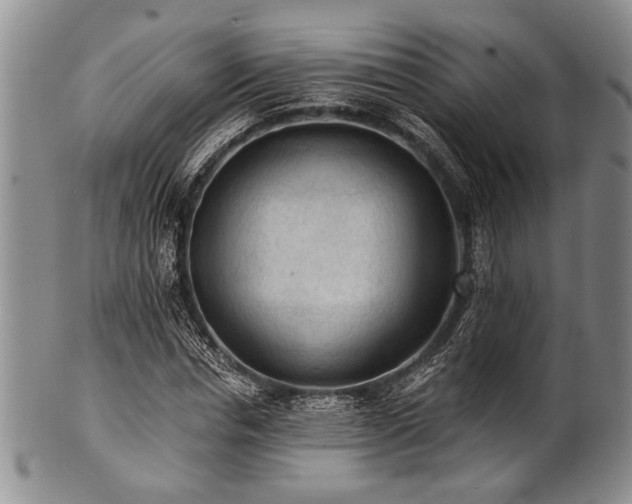X0000101110826200806261410