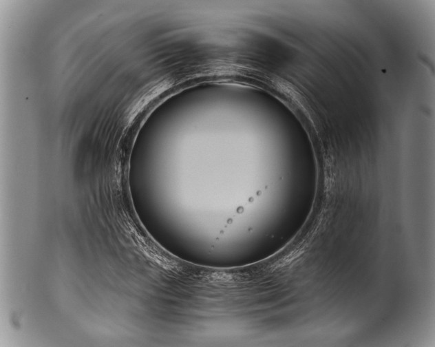 X0000101110827200806261410