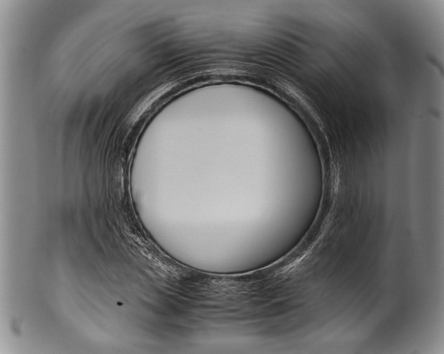 X0000101110829200806261410