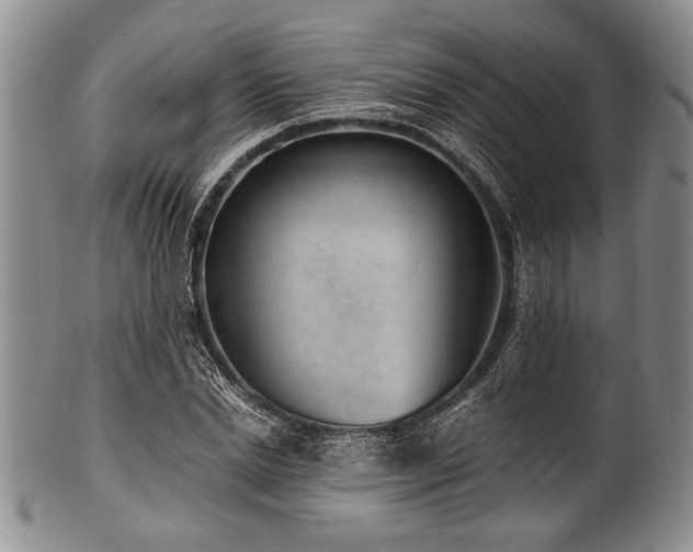X0000101110830200806261410