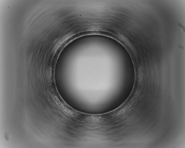 X0000101110831200806261410