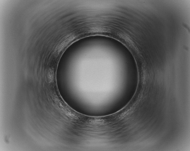 X0000101110833200806261410