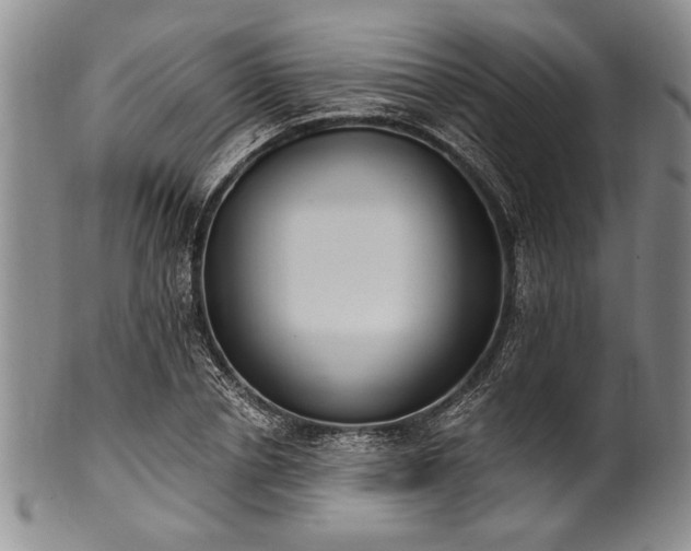 X0000101110834200806261410