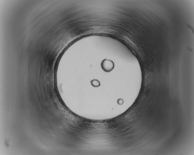 X0000101110836200806261410
