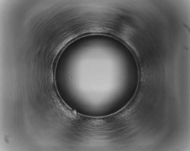 X0000101110837200806261410