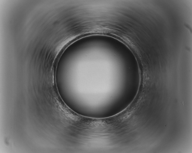 X0000101110838200806261410