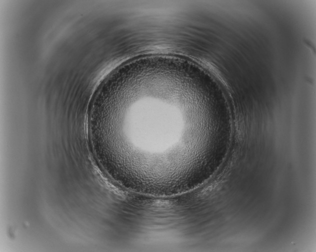 X0000101110839200806261410