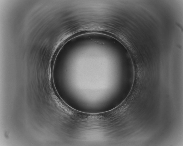 X0000101110840200806261410