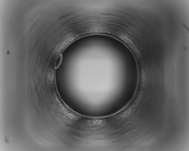 X0000101110841200806261410