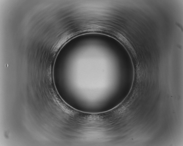 X0000101110842200806261410