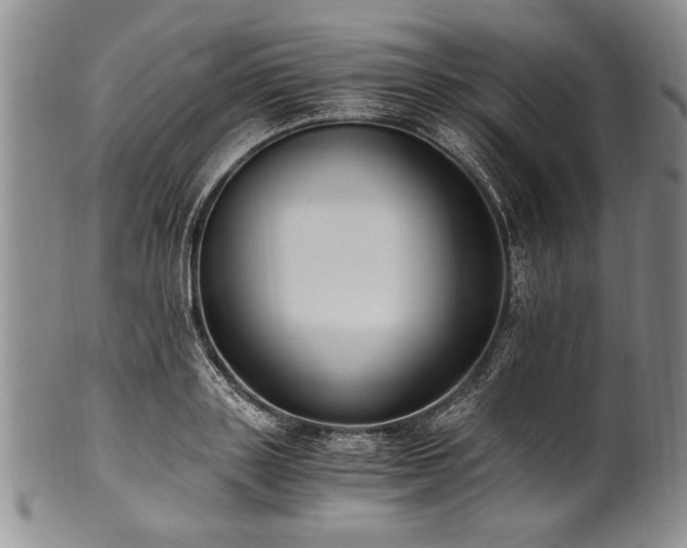 X0000101110843200806261410