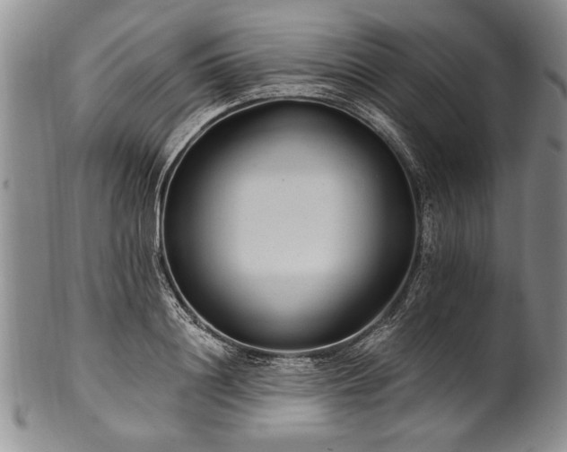 X0000101110844200806261411