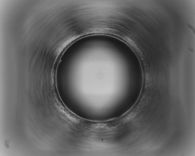 X0000101110846200806261411