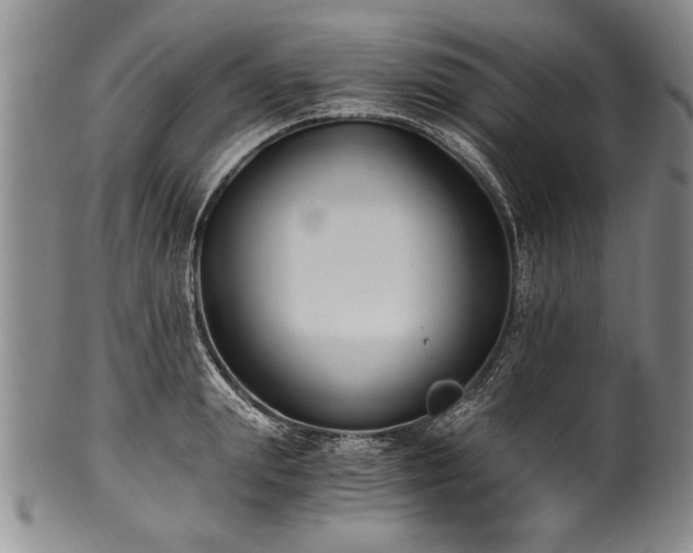 X0000101110847200806261411