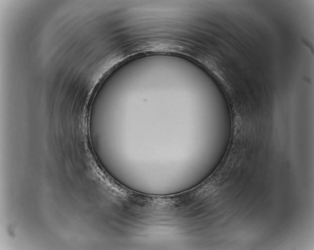X0000101110848200806261411