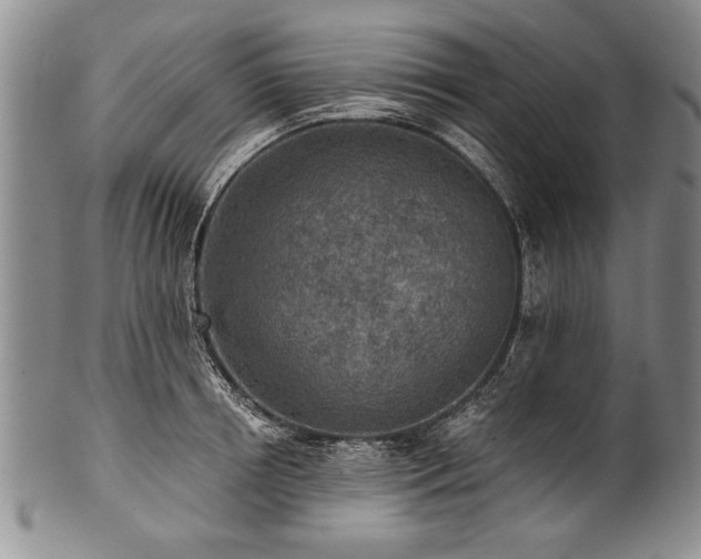 X0000101110850200806261411