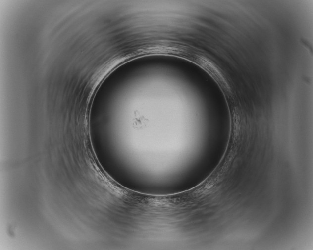 X0000101110852200806261411