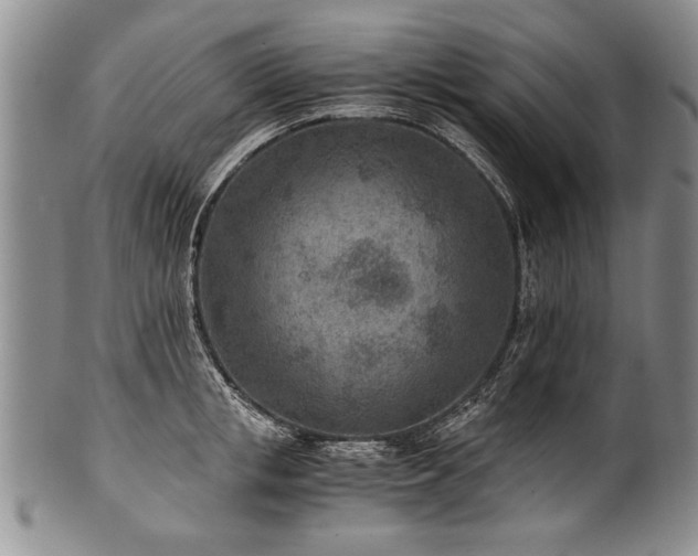 X0000101110853200806261411