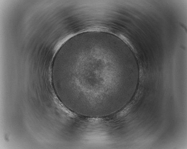 X0000101110854200806261411