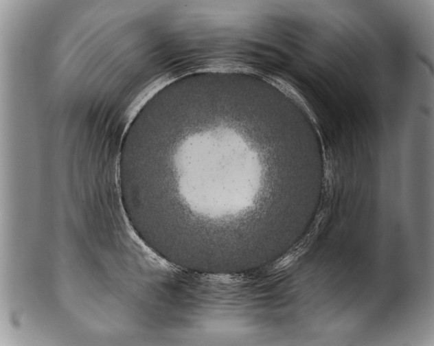 X0000101110855200806261411
