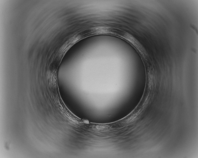X0000101110857200806261411