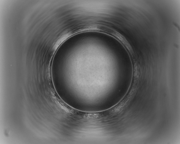 X0000101110858200806261411