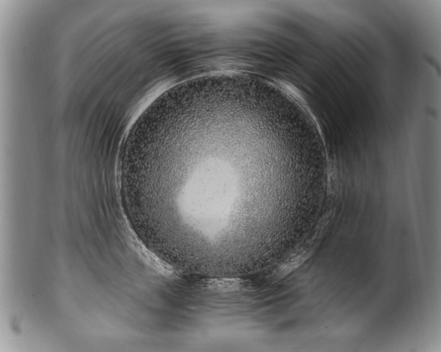X0000101110859200806261411