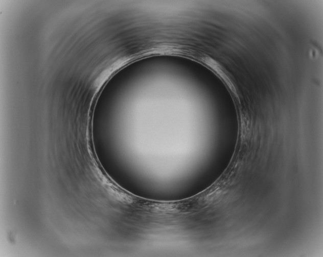 X0000101110861200806261411