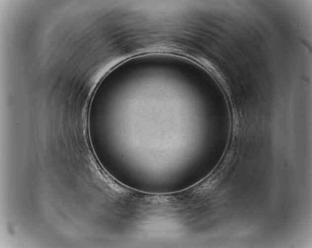 X0000101110862200806261411