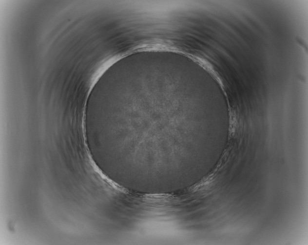X0000101110863200806261411