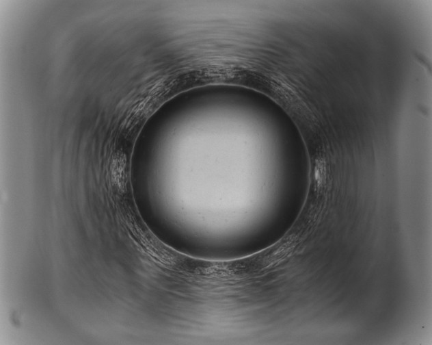 X0000101110867200806261410