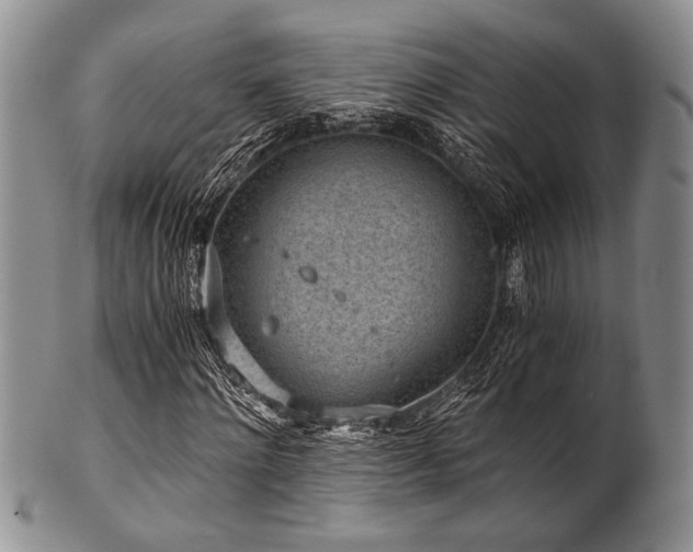 X0000101110868200806261410