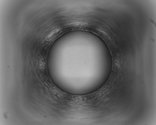 X0000101110869200806261410