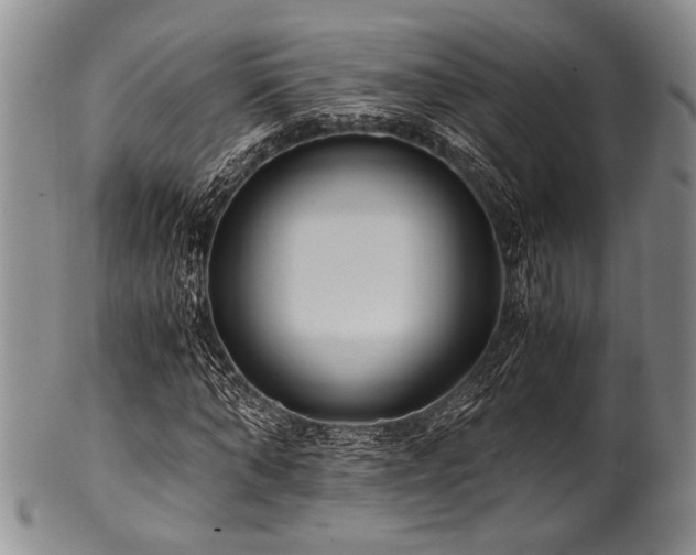 X0000101110870200806261410