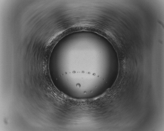 X0000101110872200806261410