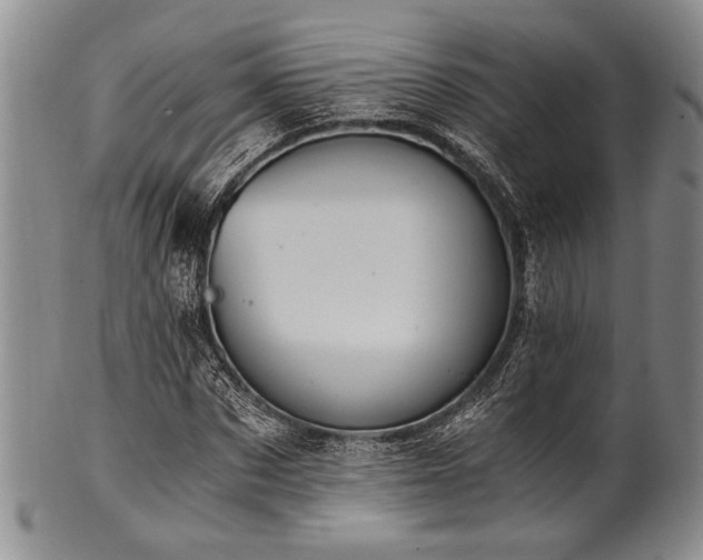 X0000101110873200806261410