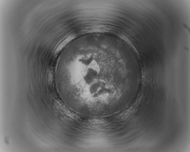 X0000101110874200806261410