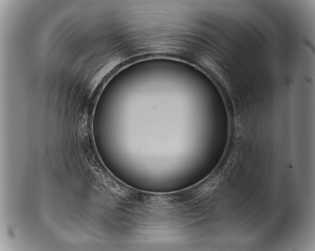 X0000101110875200806261410