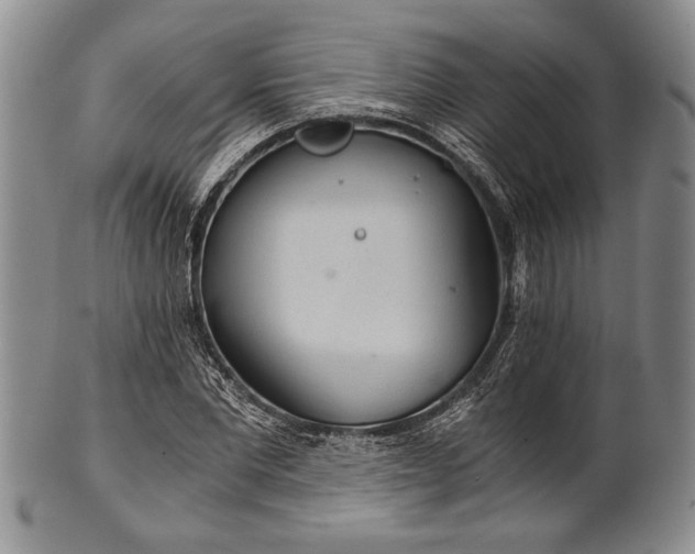 X0000101110877200806261410
