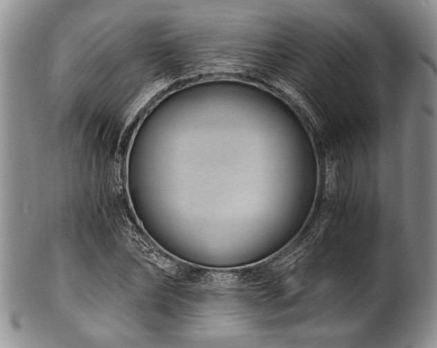 X0000101110878200806261410