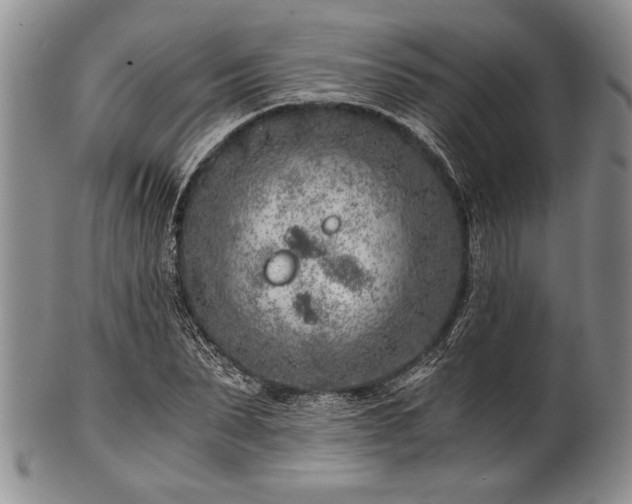 X0000101110879200806261410