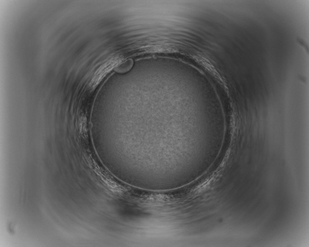 X0000101110881200806261410