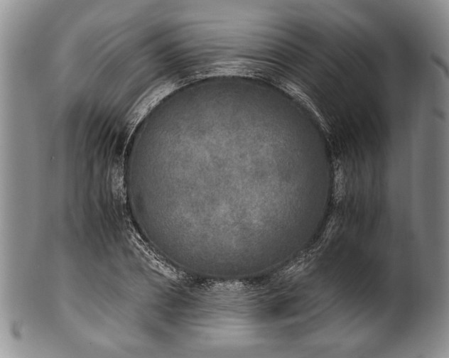 X0000101110882200806261410