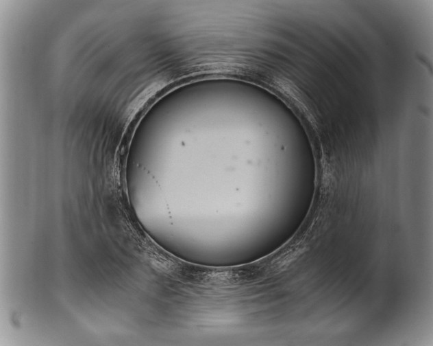 X0000101110883200806261410