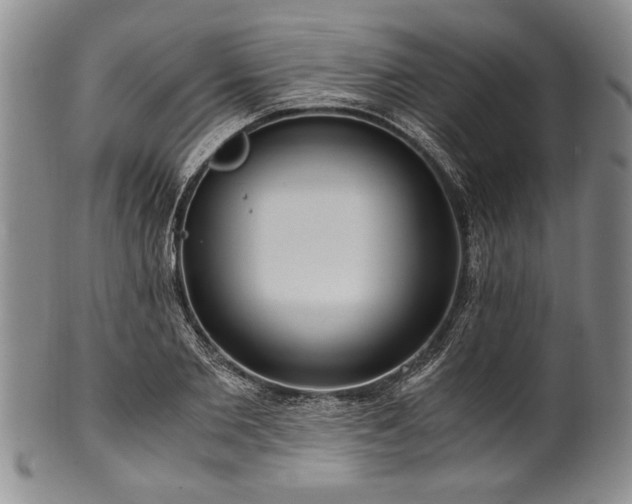 X0000101110885200806261410