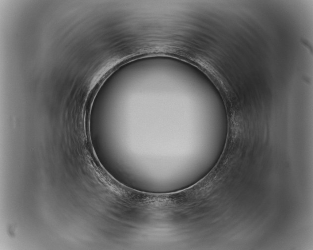 X0000101110886200806261410