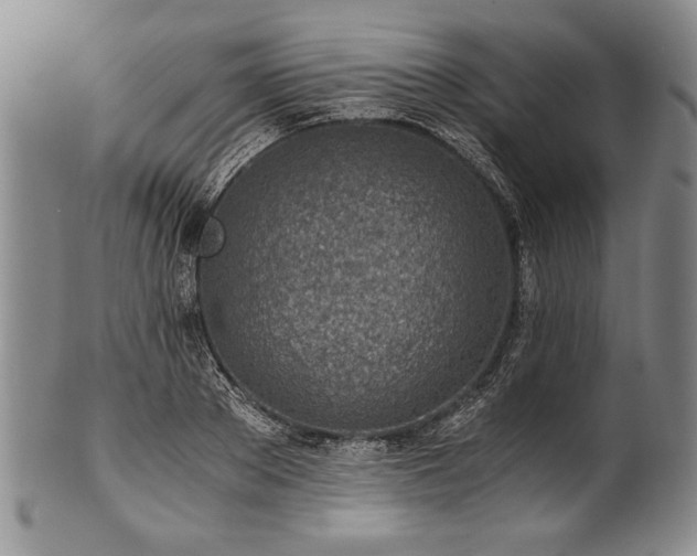 X0000101110889200806261410