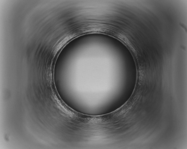 X0000101110890200806261410